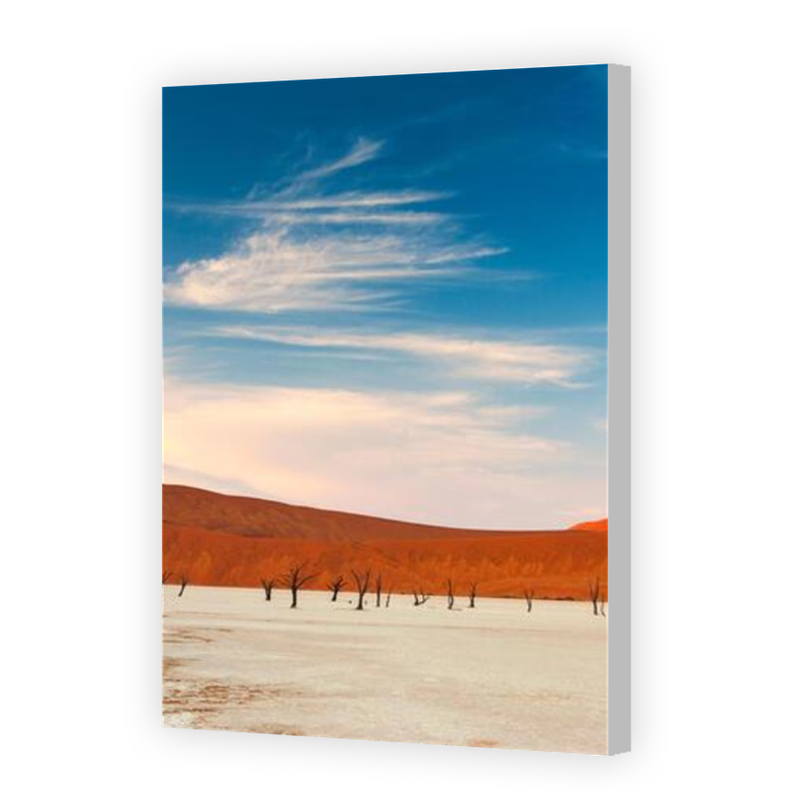 Thumbnail for Canvas - Coloured Canvas Wrap