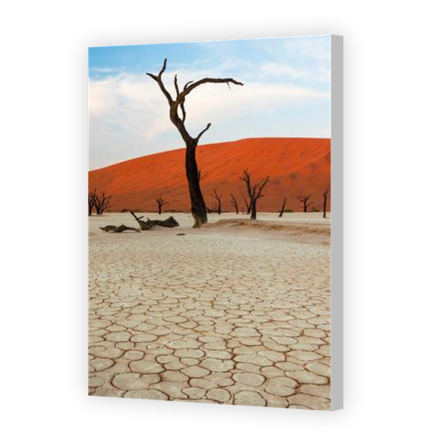 Thumbnail for Canvas - Coloured Canvas Wrap