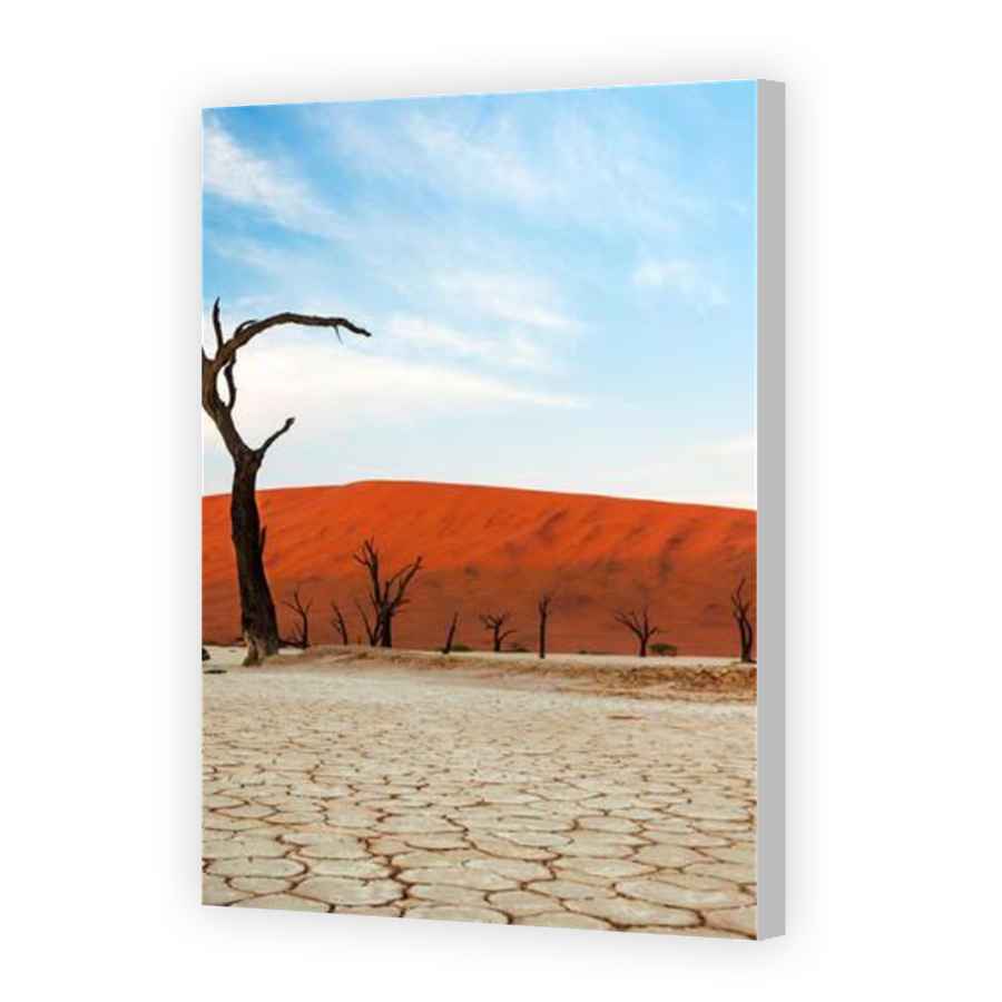 Thumbnail for Canvas - Coloured Canvas Wrap