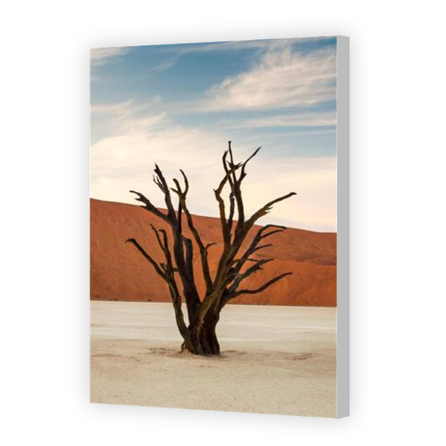Thumbnail for Canvas - Coloured Canvas Wrap