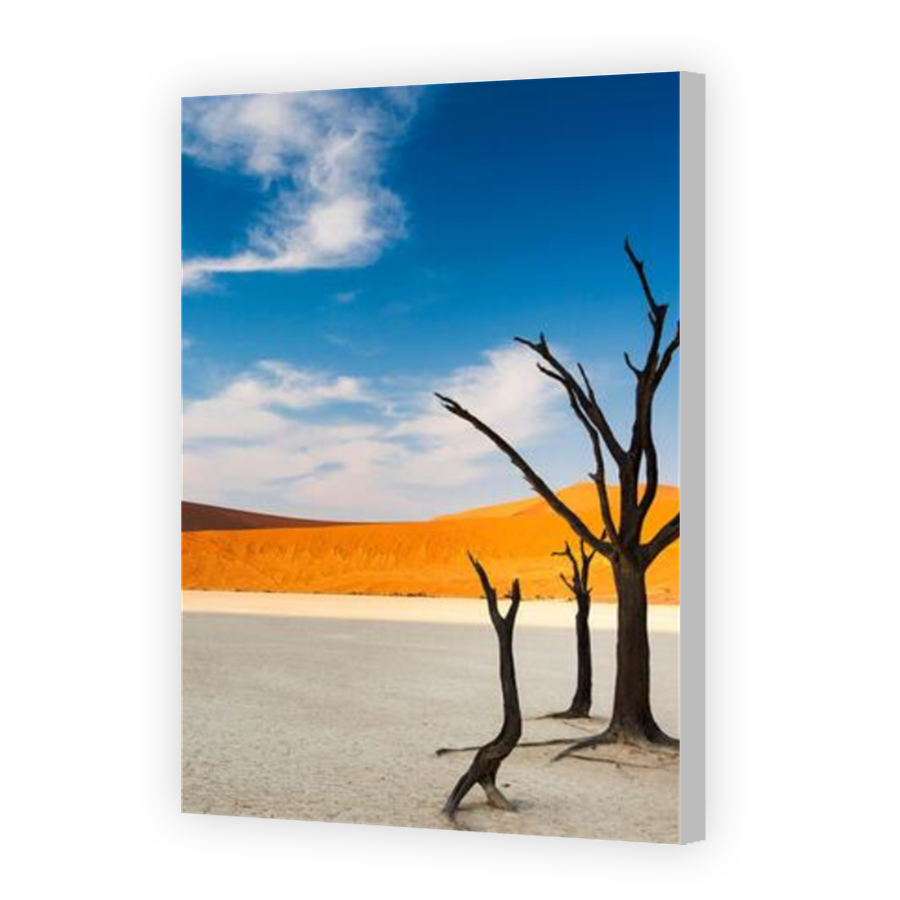 Thumbnail for Canvas - Coloured Canvas Wrap