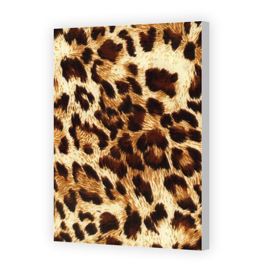 Thumbnail for Canvas - Coloured Canvas Wrap