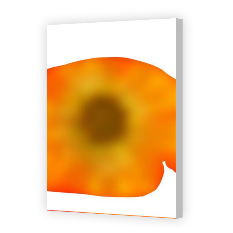Thumbnail for Canvas - Coloured Canvas Wrap