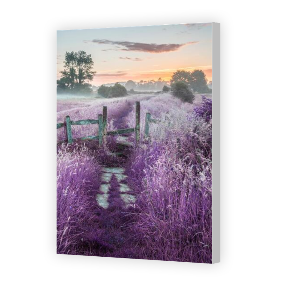 Thumbnail for Canvas - Coloured Canvas Wrap