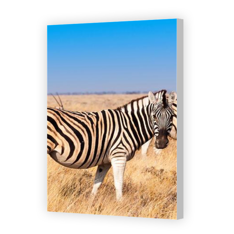 Thumbnail for Canvas - Coloured Canvas Wrap