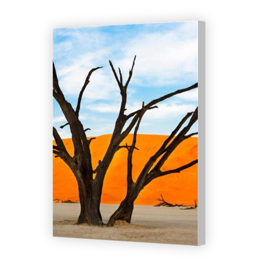 Thumbnail for Canvas - Coloured Canvas Wrap
