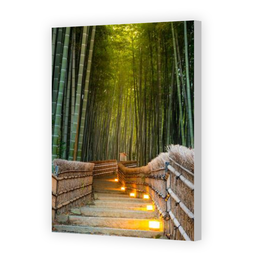 Thumbnail for Canvas - Coloured Canvas Wrap