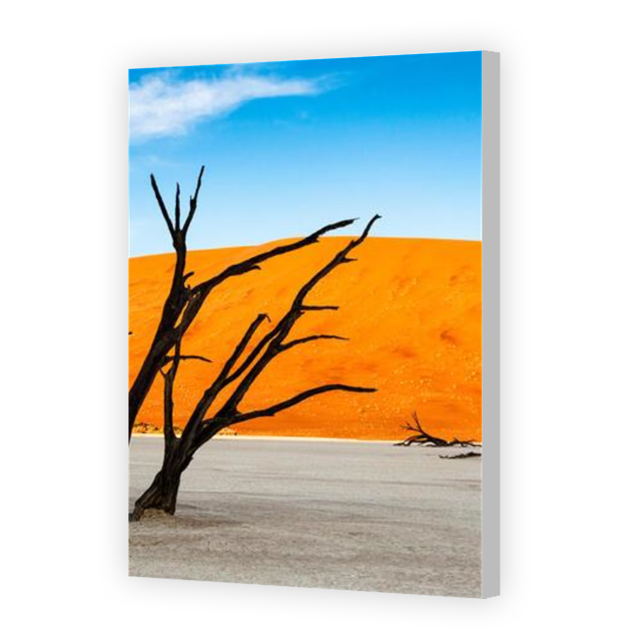Thumbnail for Canvas - Coloured Canvas Wrap