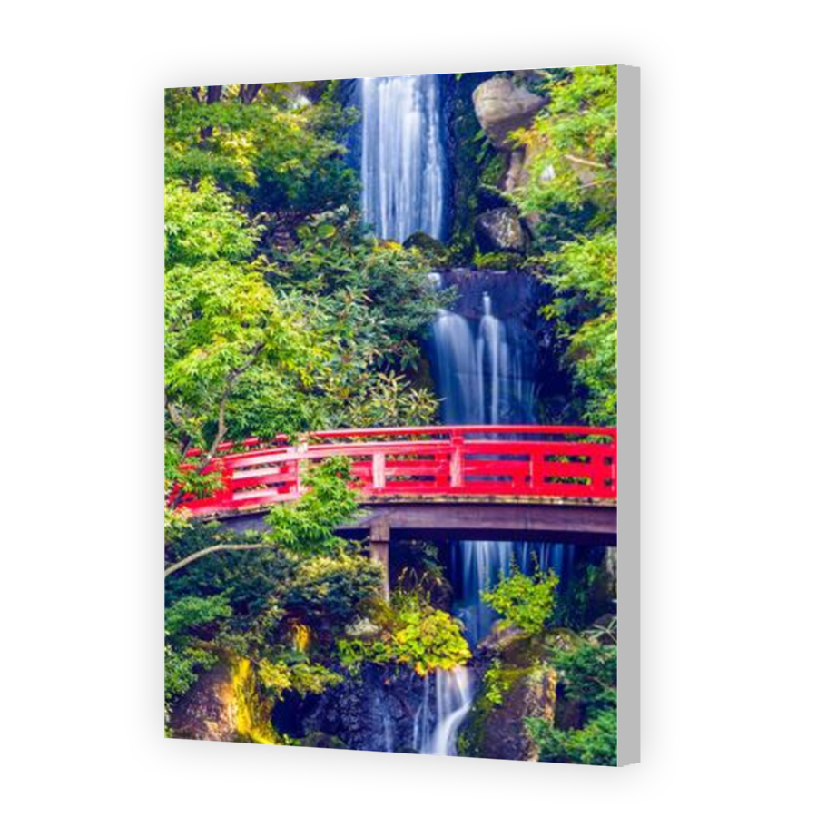 Thumbnail for Canvas - Coloured Canvas Wrap