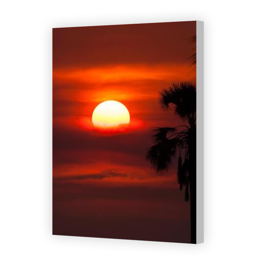 Thumbnail for Canvas - Coloured Canvas Wrap