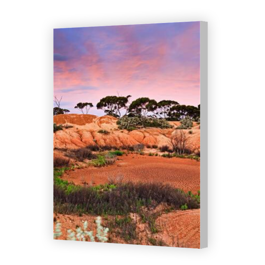 Thumbnail for Canvas - Coloured Canvas Wrap
