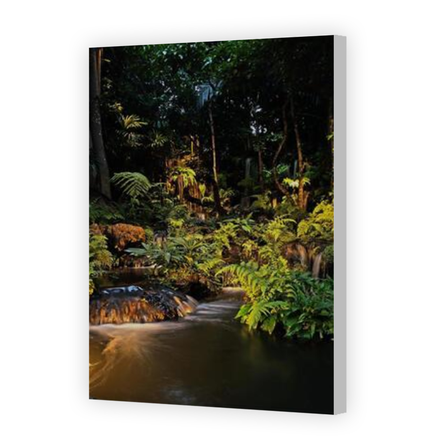 Thumbnail for Canvas - Coloured Canvas Wrap