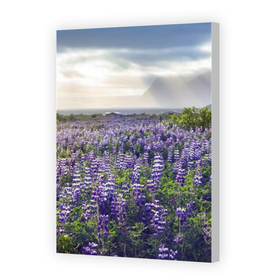 Thumbnail for Canvas - Coloured Canvas Wrap