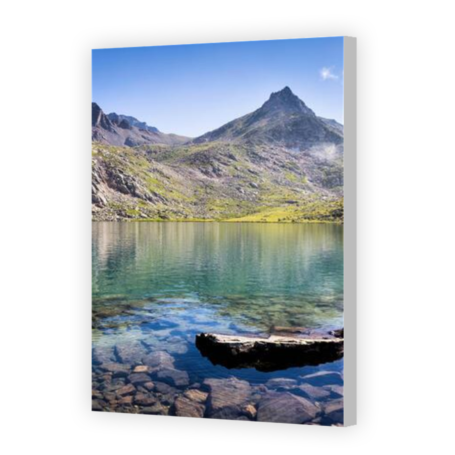 Thumbnail for Canvas - Coloured Canvas Wrap