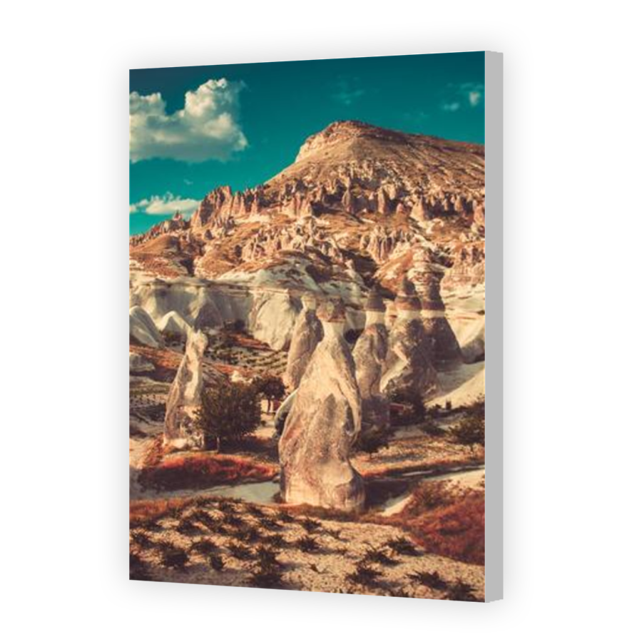 Thumbnail for Canvas - Coloured Canvas Wrap
