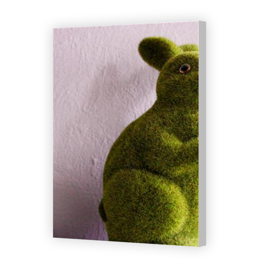 Thumbnail for Canvas - Coloured Canvas Wrap