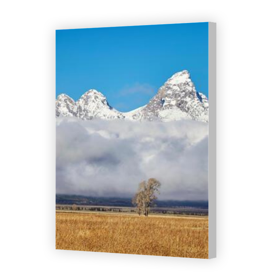 Thumbnail for Canvas - Coloured Canvas Wrap