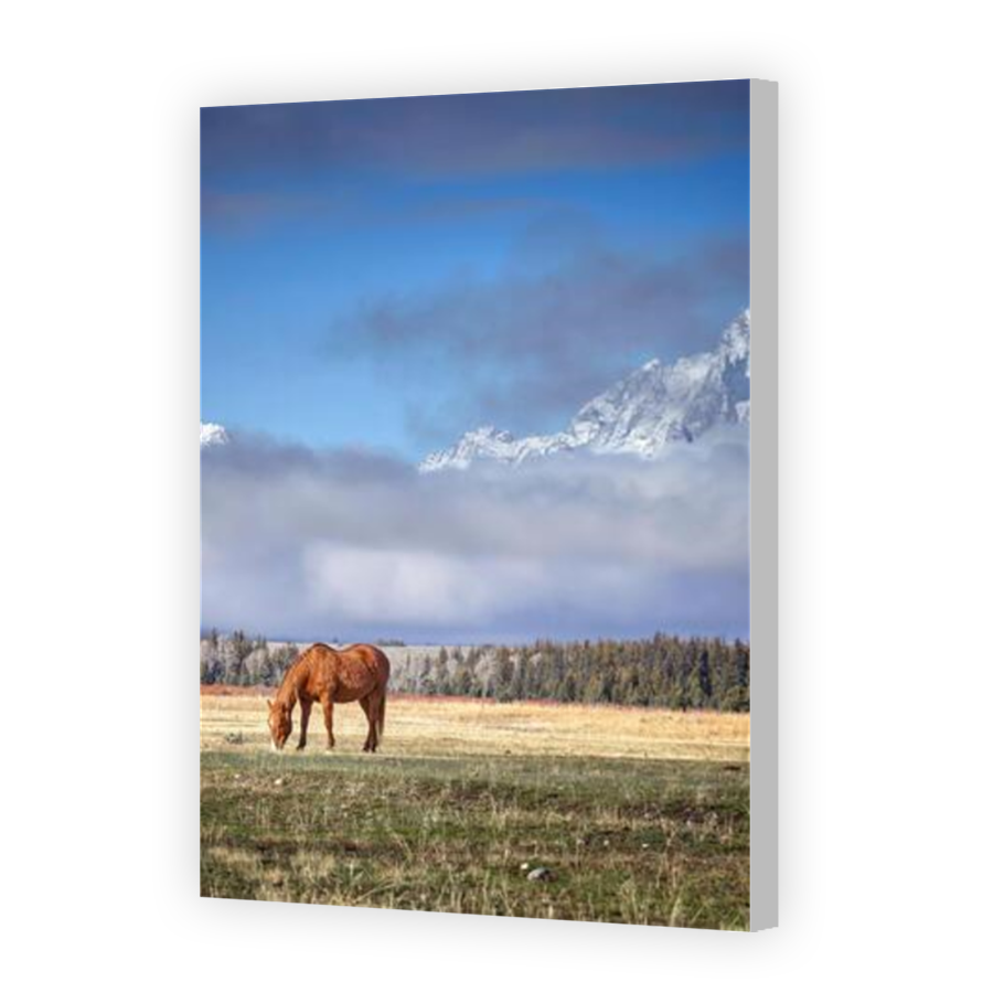 Thumbnail for Canvas - Coloured Canvas Wrap