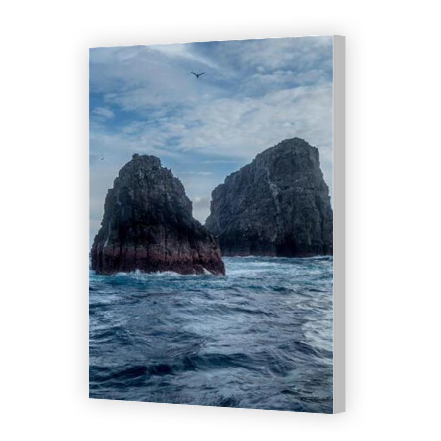 Thumbnail for Canvas - Coloured Canvas Wrap