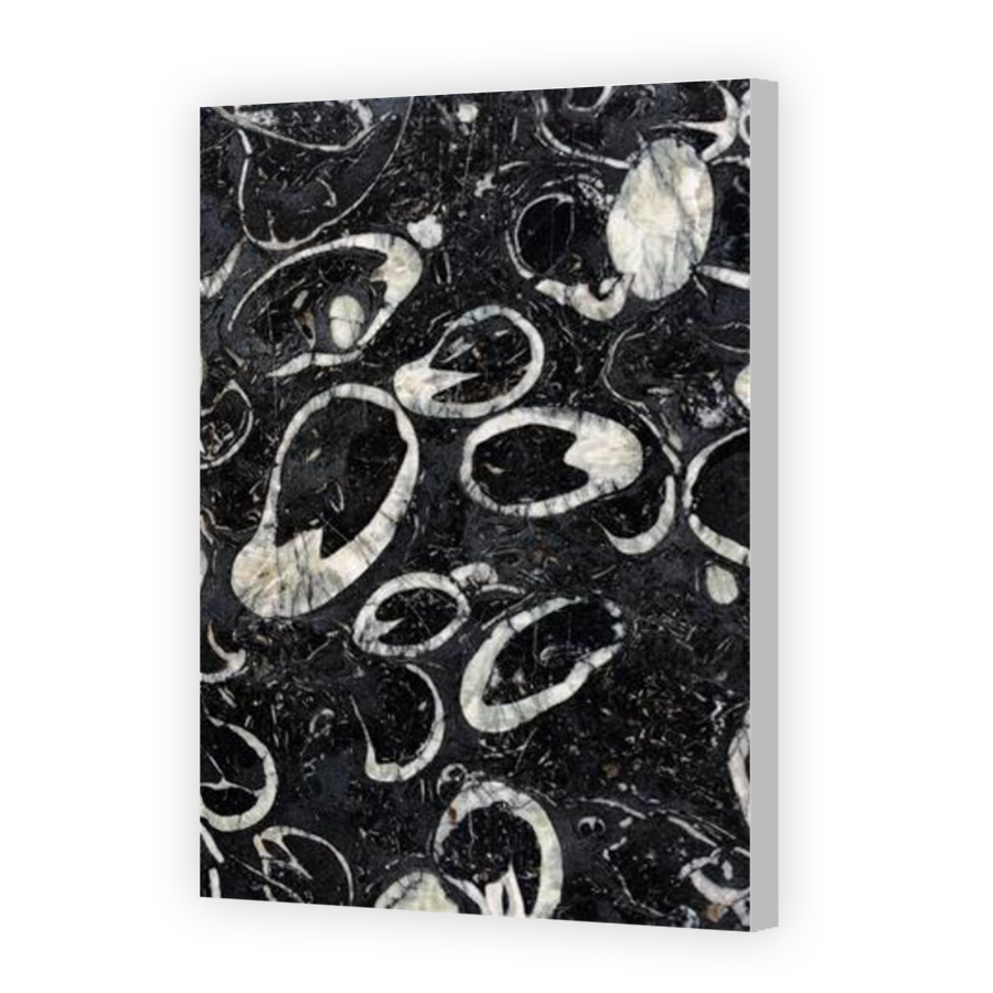 Thumbnail for Canvas - Coloured Canvas Wrap