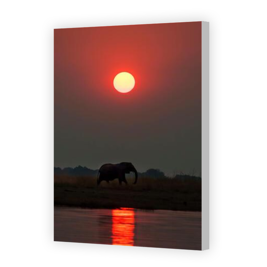 Thumbnail for Canvas - Coloured Canvas Wrap