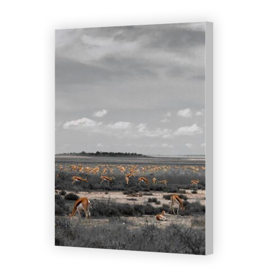 Thumbnail for Canvas - Coloured Canvas Wrap