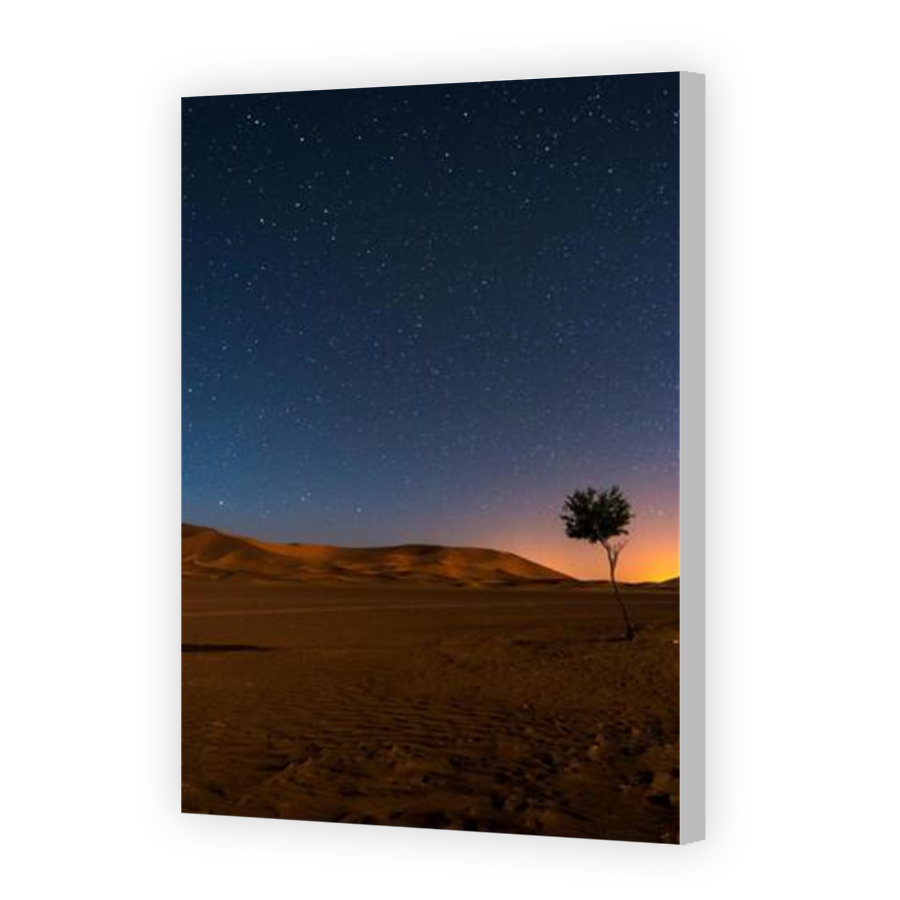 Thumbnail for Canvas - Coloured Canvas Wrap