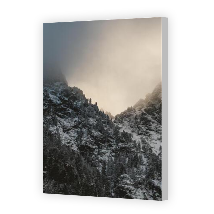 Thumbnail for Canvas - Coloured Canvas Wrap