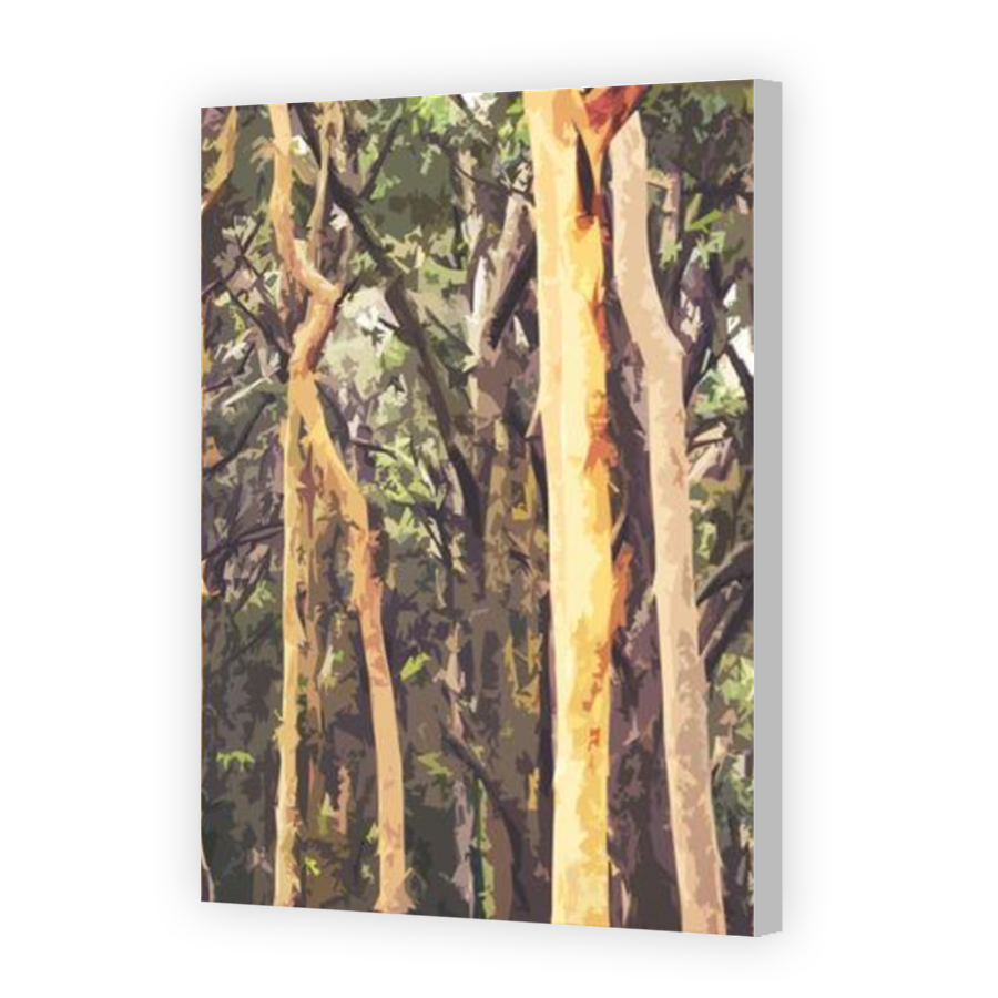 Thumbnail for Canvas - Coloured Canvas Wrap