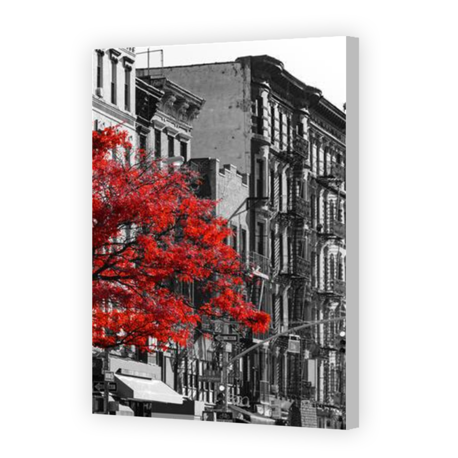 Thumbnail for Canvas - Coloured Canvas Wrap