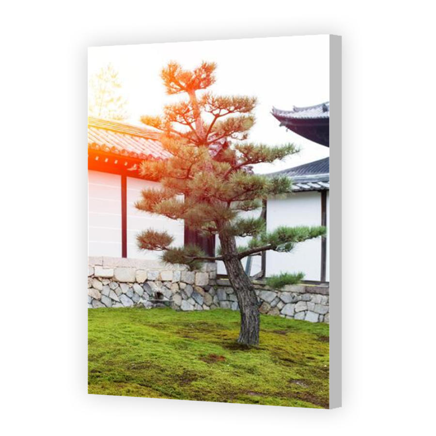 Thumbnail for Canvas - Coloured Canvas Wrap