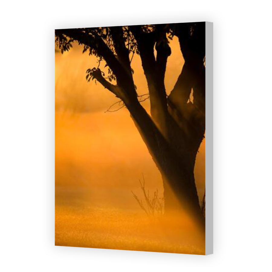 Thumbnail for Canvas - Coloured Canvas Wrap