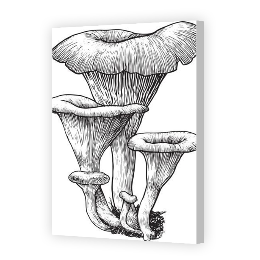 Thumbnail for Canvas - Coloured Canvas Wrap