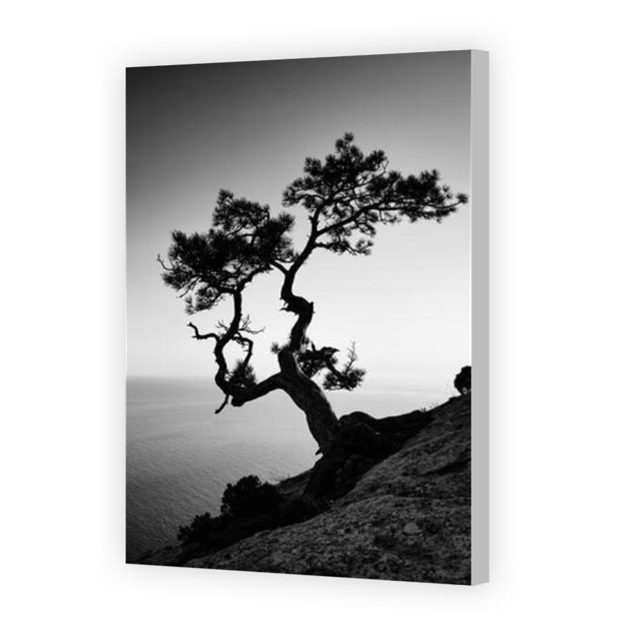 Thumbnail for Canvas - Coloured Canvas Wrap