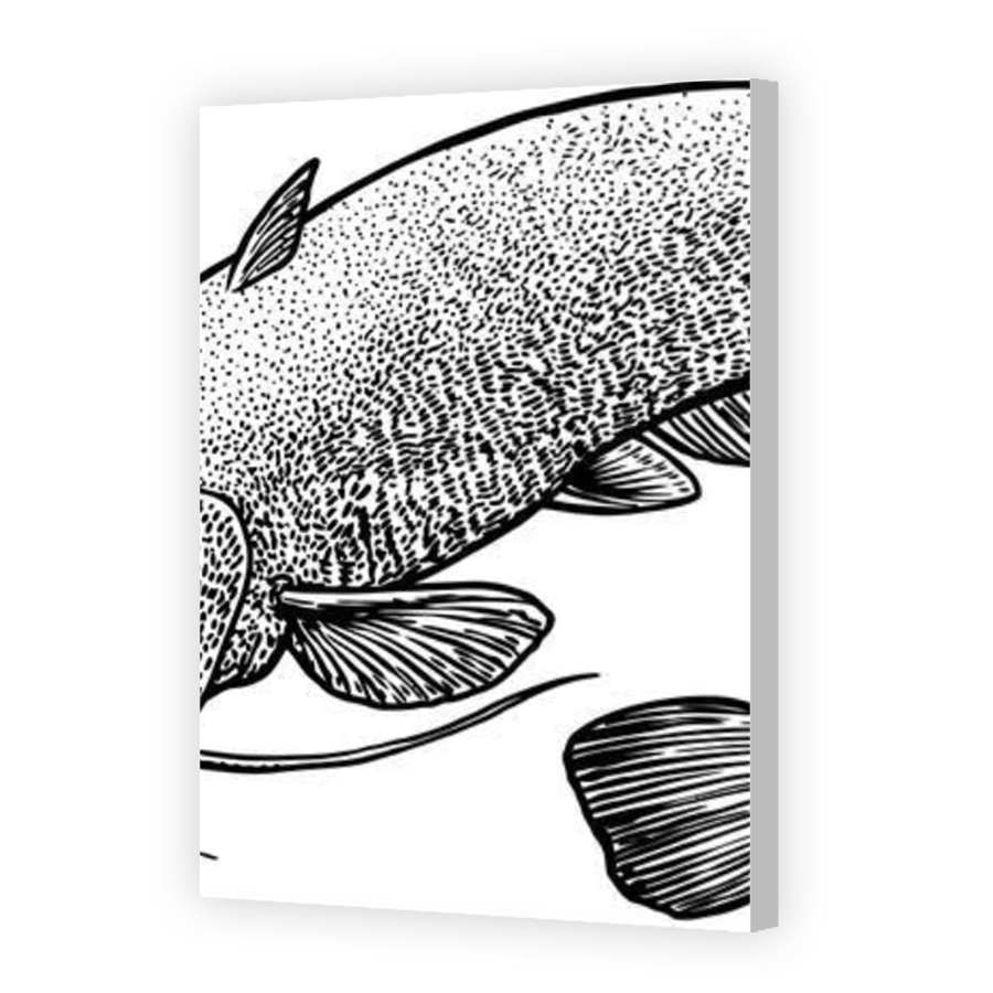 Thumbnail for Canvas - Coloured Canvas Wrap