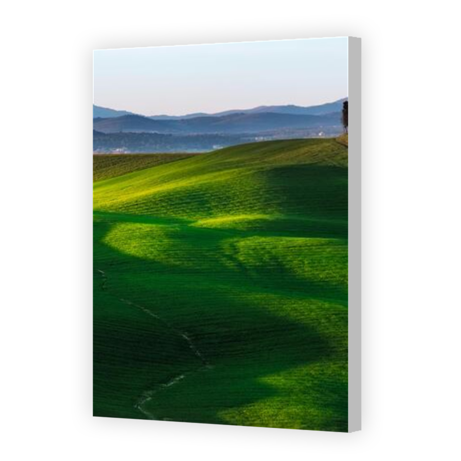 Thumbnail for Canvas - Coloured Canvas Wrap