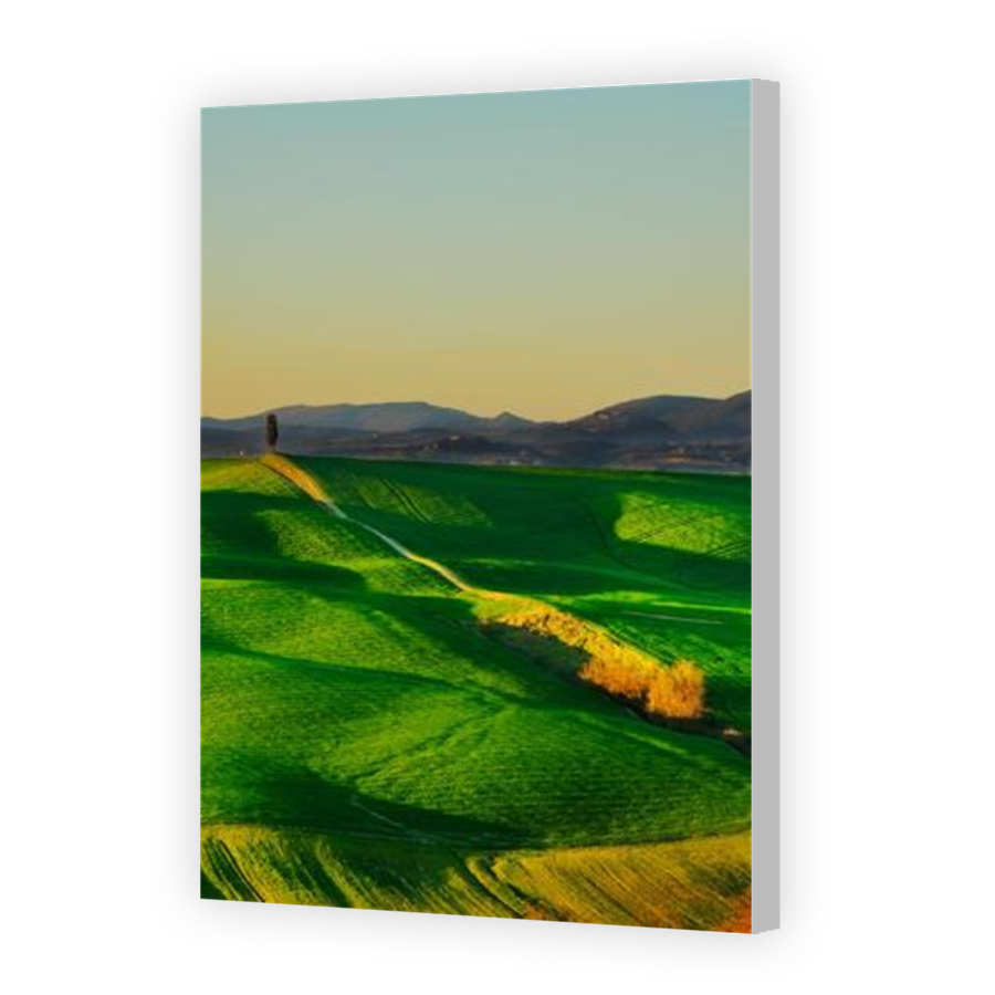 Thumbnail for Canvas - Coloured Canvas Wrap