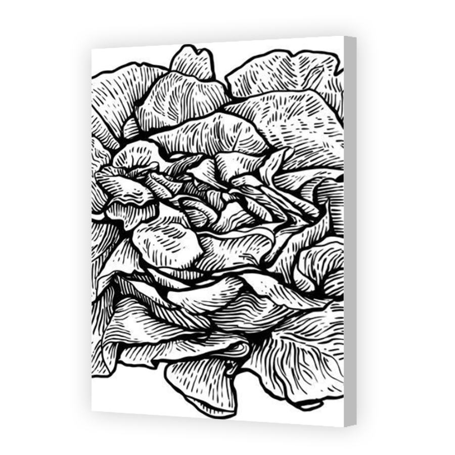 Thumbnail for Canvas - Coloured Canvas Wrap