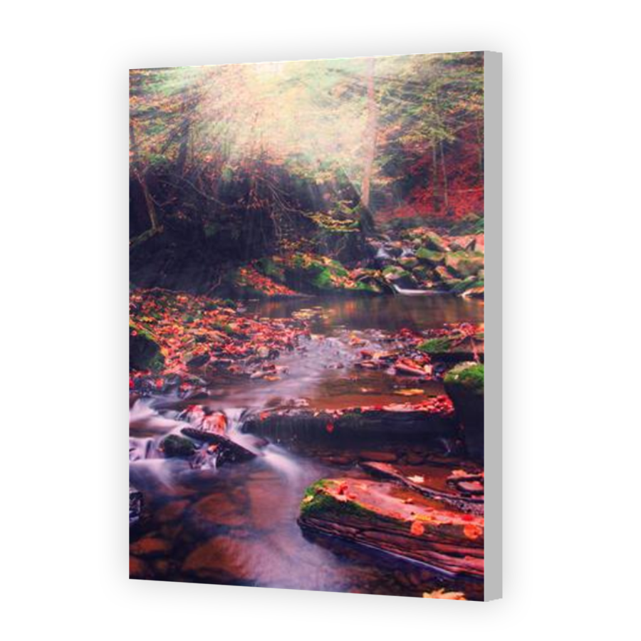 Thumbnail for Canvas - Coloured Canvas Wrap