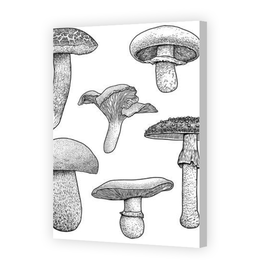 Thumbnail for Canvas - Coloured Canvas Wrap