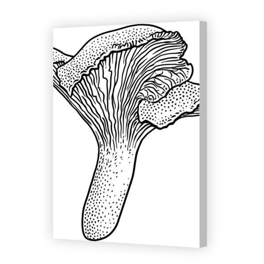 Thumbnail for Canvas - Coloured Canvas Wrap