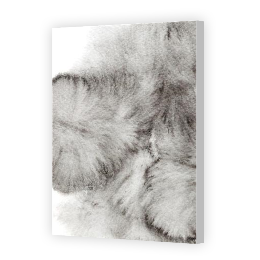 Thumbnail for Canvas - Coloured Canvas Wrap