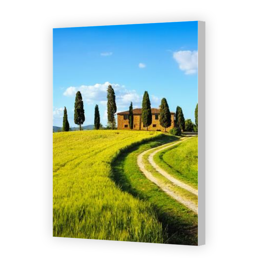 Thumbnail for Canvas - Coloured Canvas Wrap