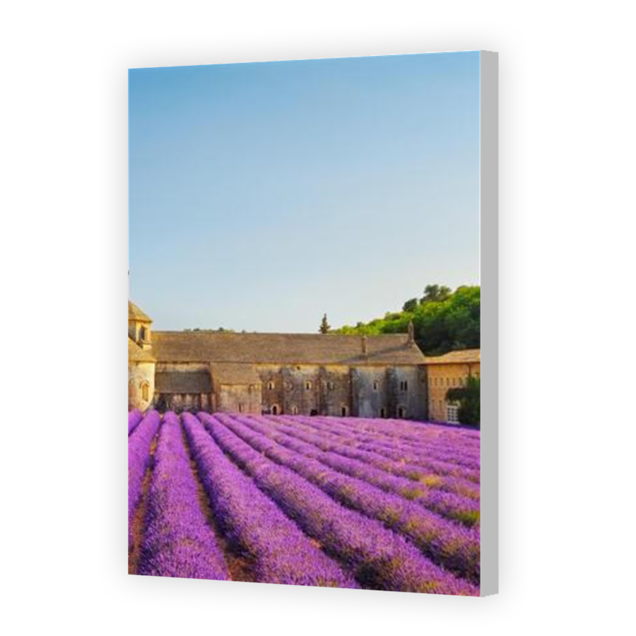 Thumbnail for Canvas - Coloured Canvas Wrap