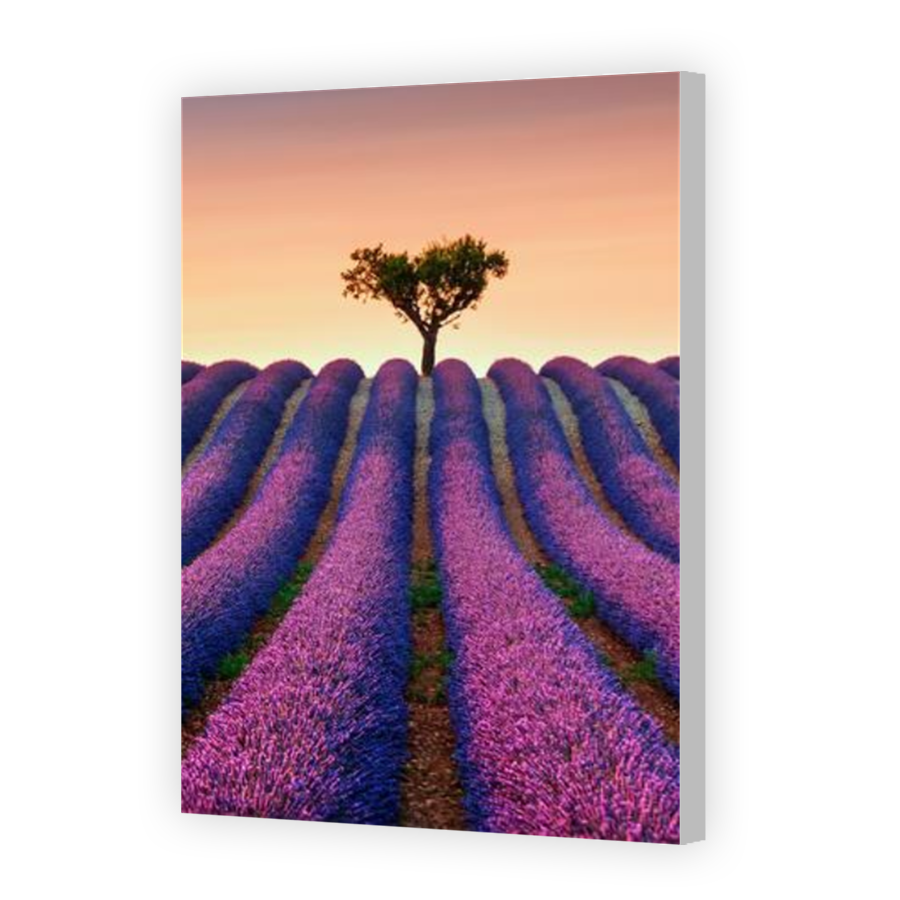 Thumbnail for Canvas - Coloured Canvas Wrap