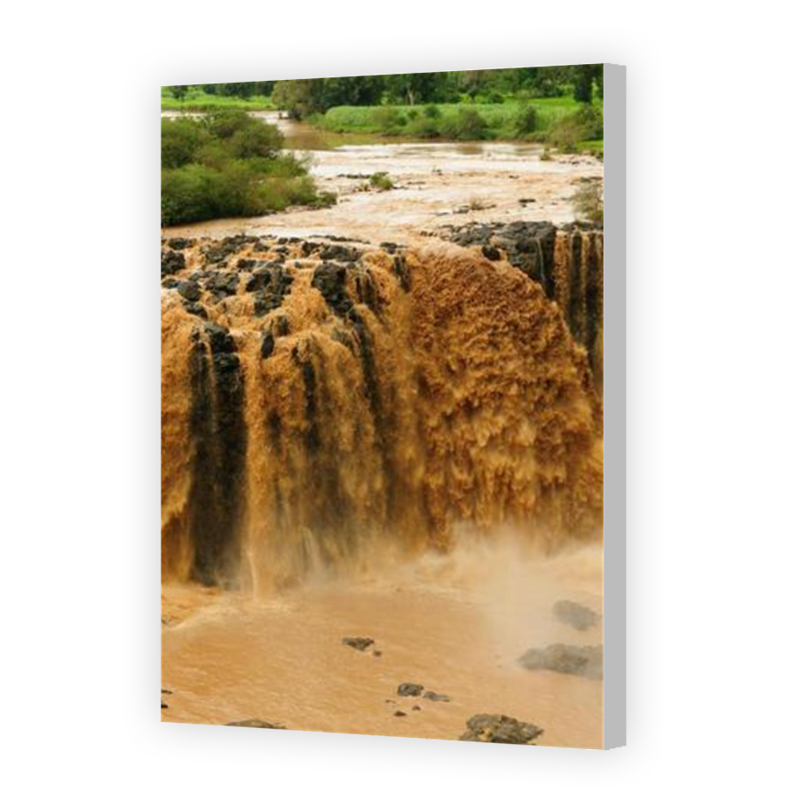 Thumbnail for Canvas - Coloured Canvas Wrap