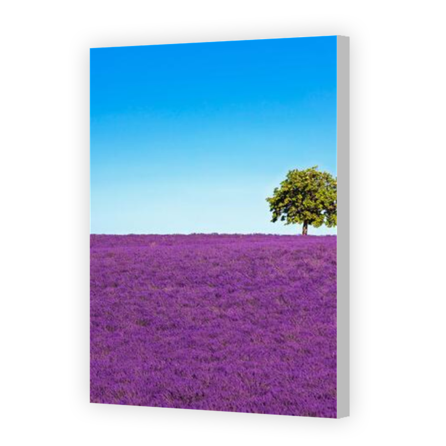 Thumbnail for Canvas - Coloured Canvas Wrap