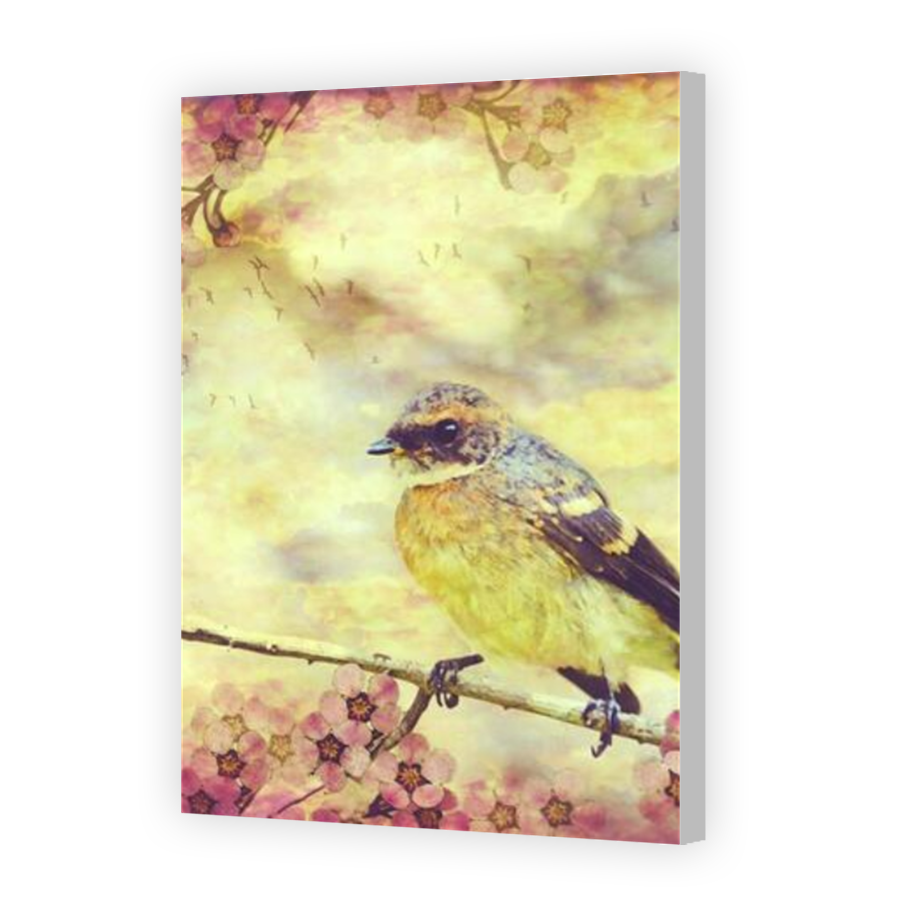 Thumbnail for Canvas - Coloured Canvas Wrap