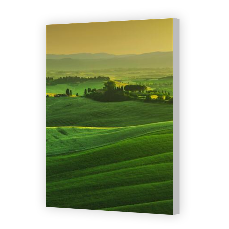 Thumbnail for Canvas - Coloured Canvas Wrap