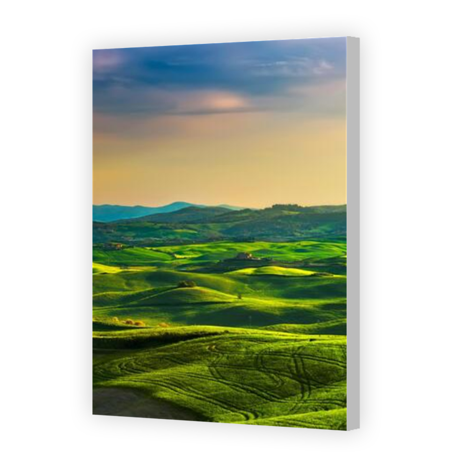 Thumbnail for Canvas - Coloured Canvas Wrap